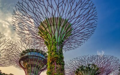 7 Days 6 Nights – Wonderful Singapore Sail